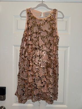 Hayden Rose Gold Sequin Shift Dress